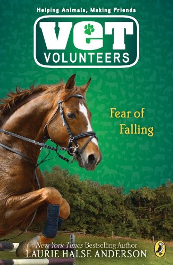 Fear of Falling Book Cover