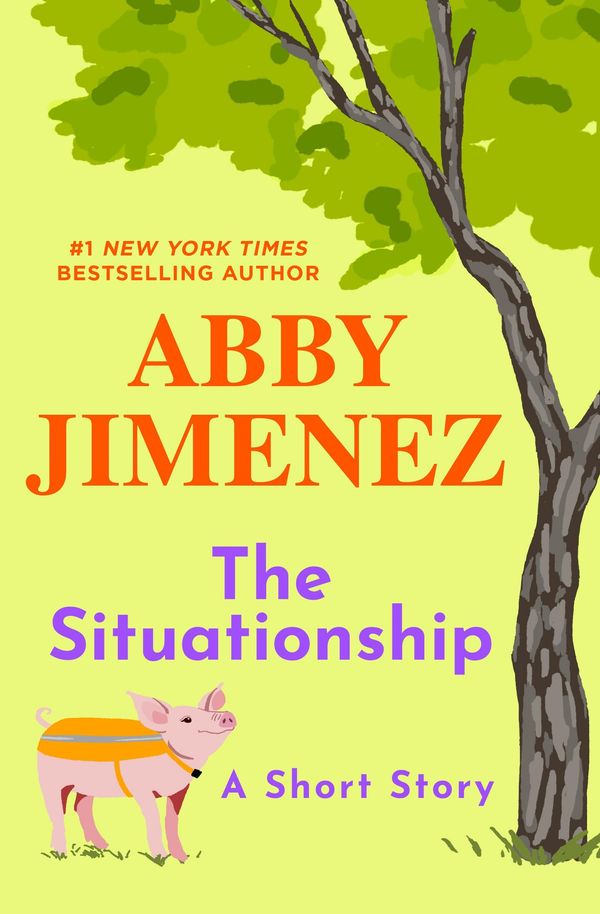 The Situationship Book Cover