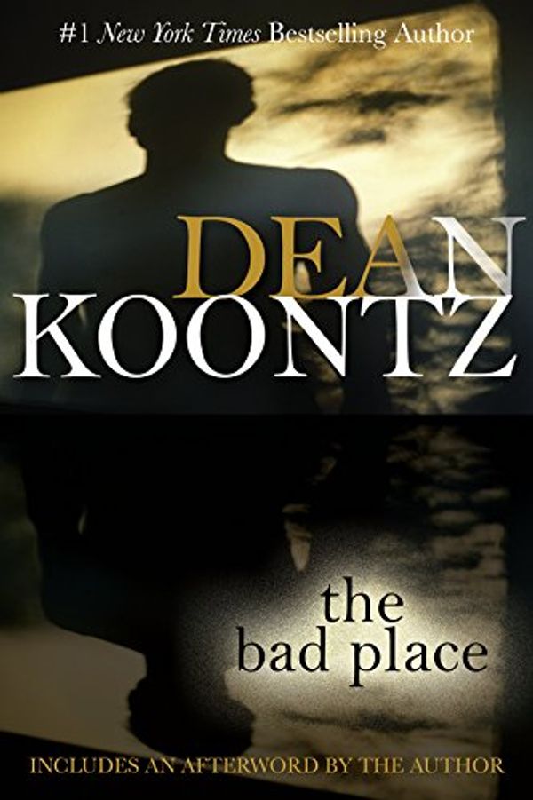 The Bad Place Book Cover