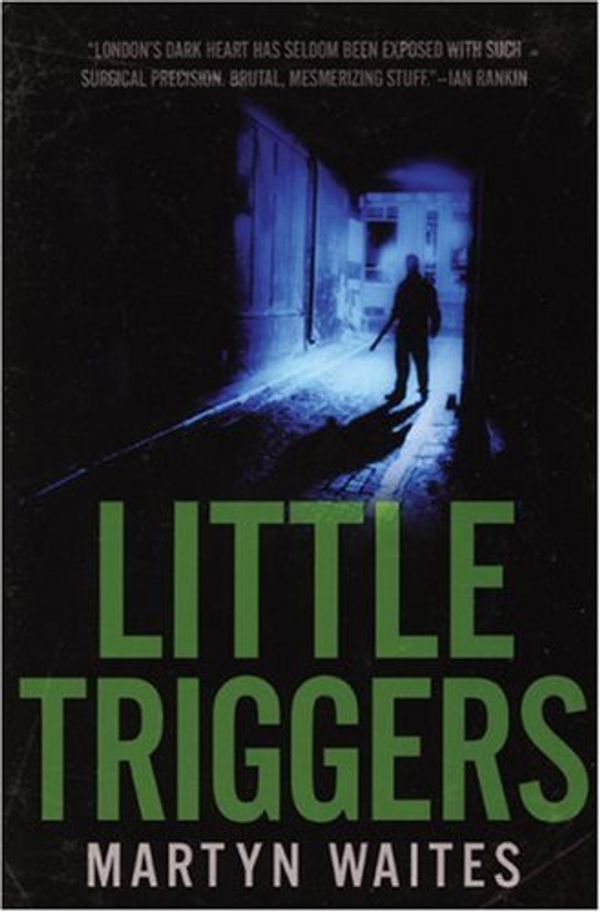 Little Triggers Book Cover