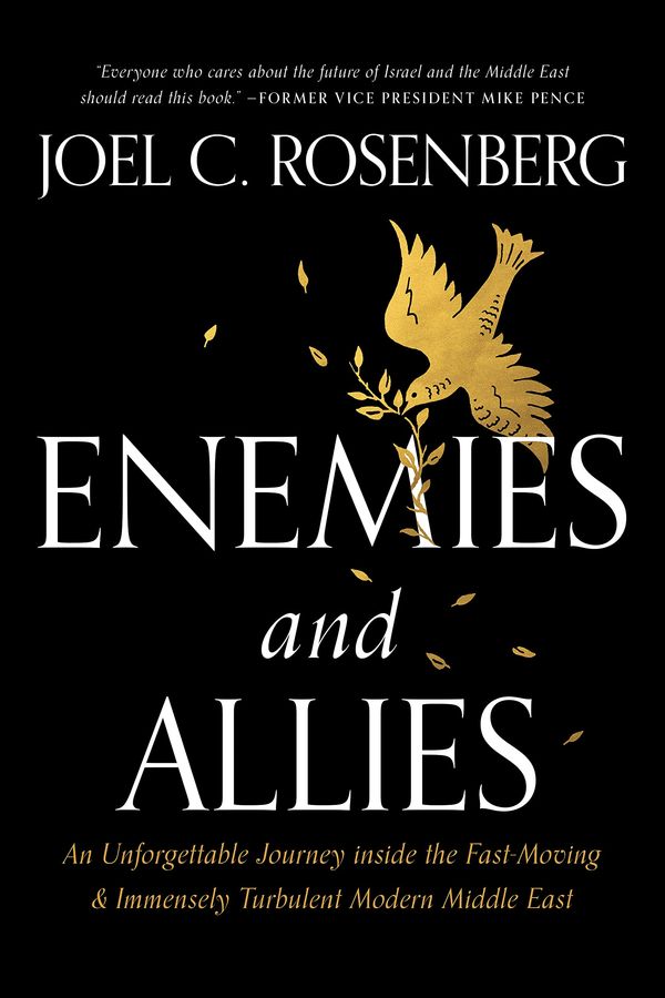 Enemies and Allies Book Cover