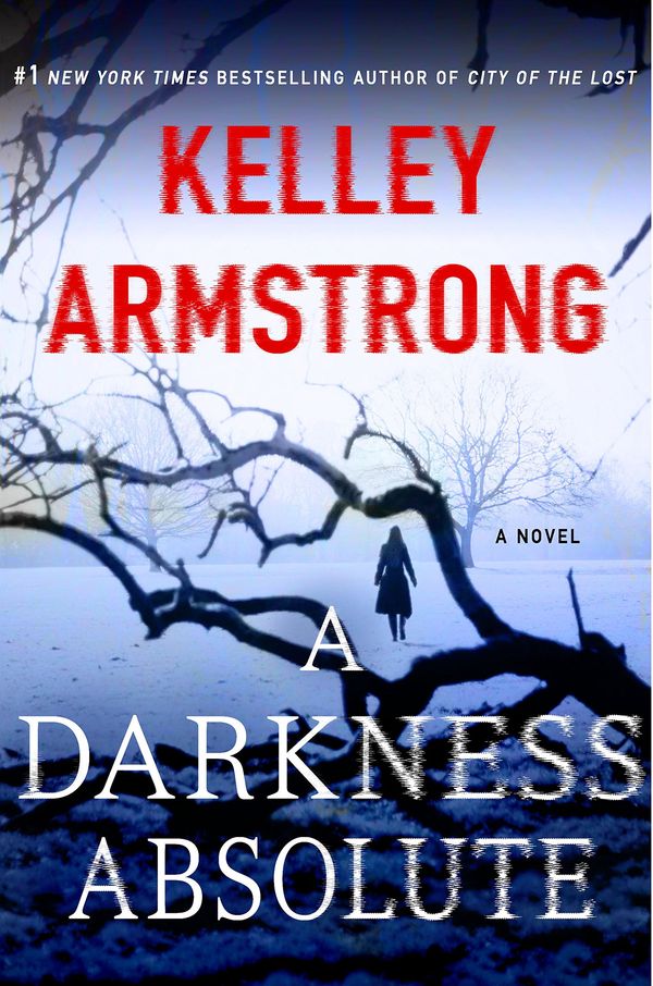A Darkness Absolute Book Cover