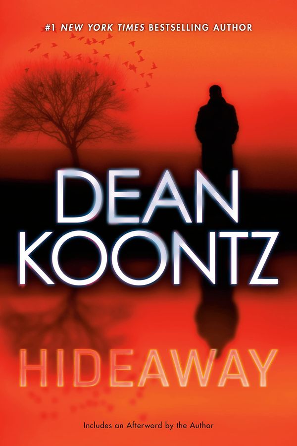 Hideaway Book Cover