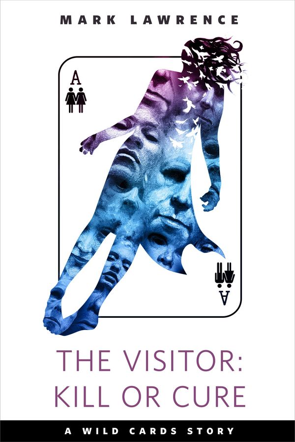 The Visitor: Kill or Cure Book Cover