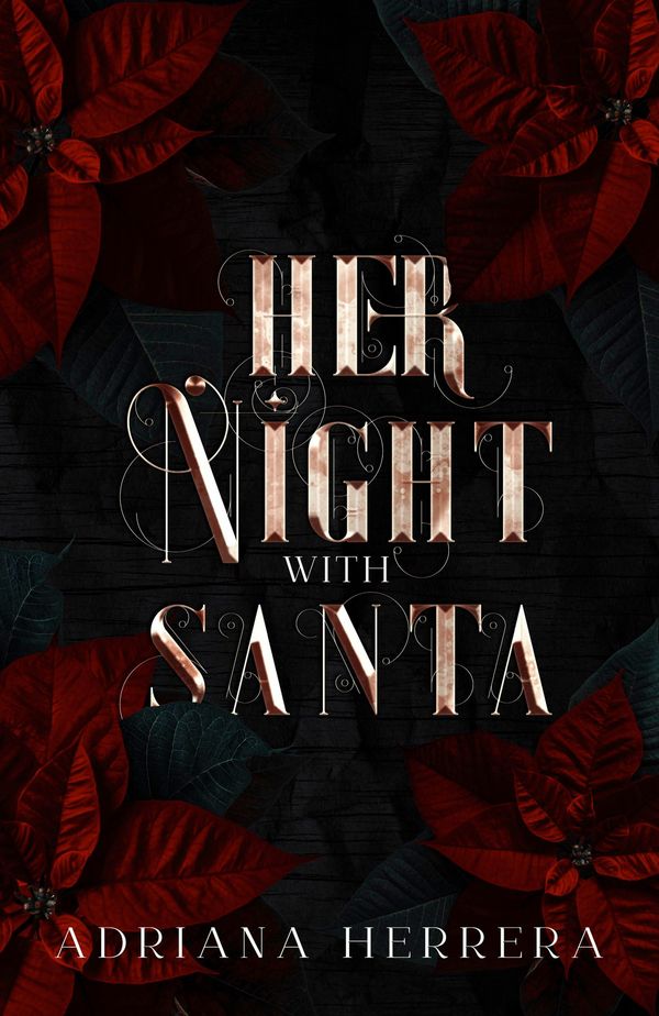 Her Night With Santa cover