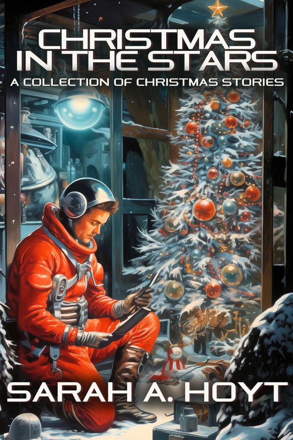Christmas In the Stars Book Cover