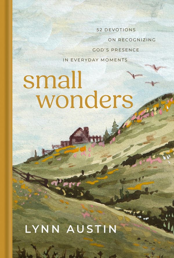 Small Wonders Book Cover