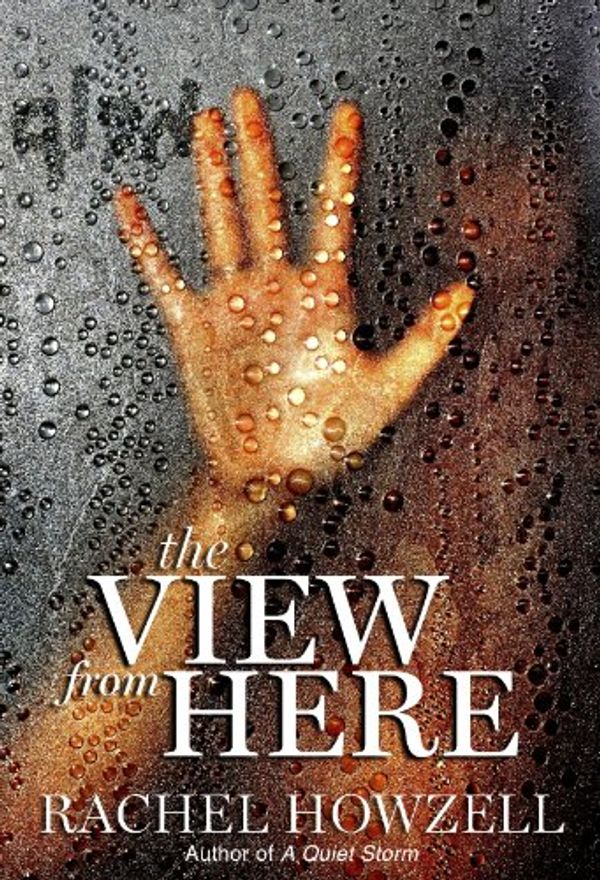The View from Here Book Cover