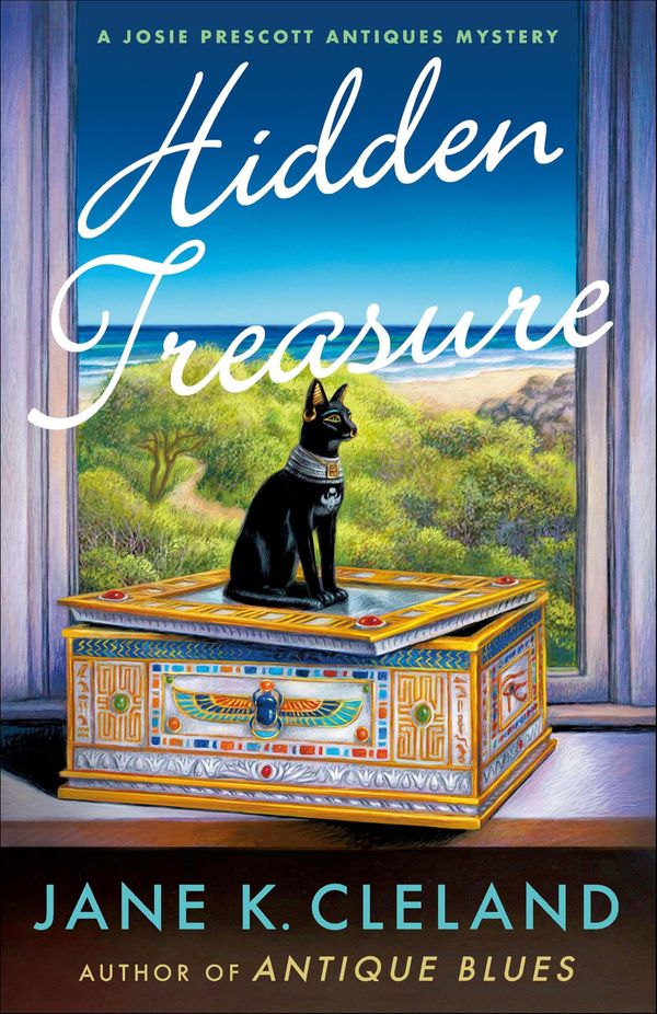 Hidden Treasure Book Cover
