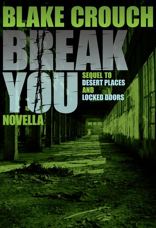 Break You Book Cover