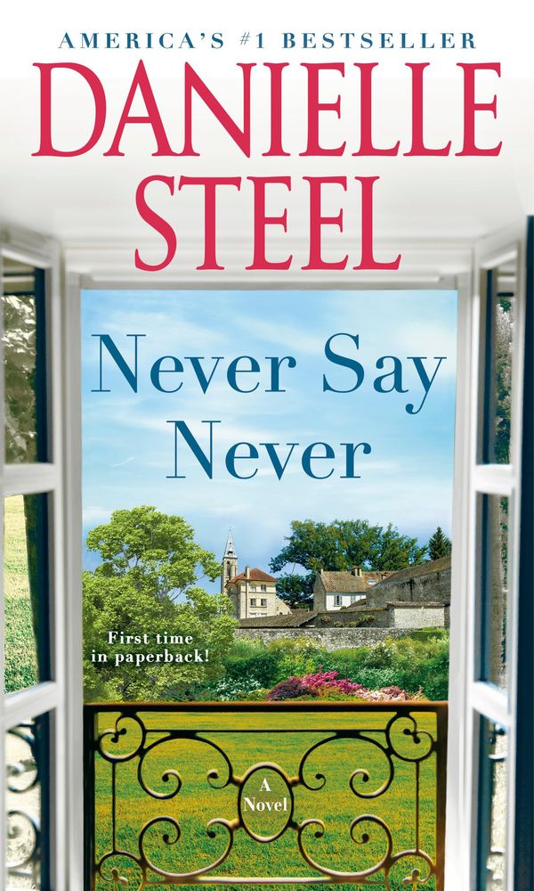 Never Say Never Book Cover