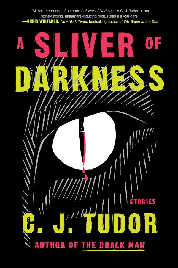 A Sliver of Darkness Book Cover