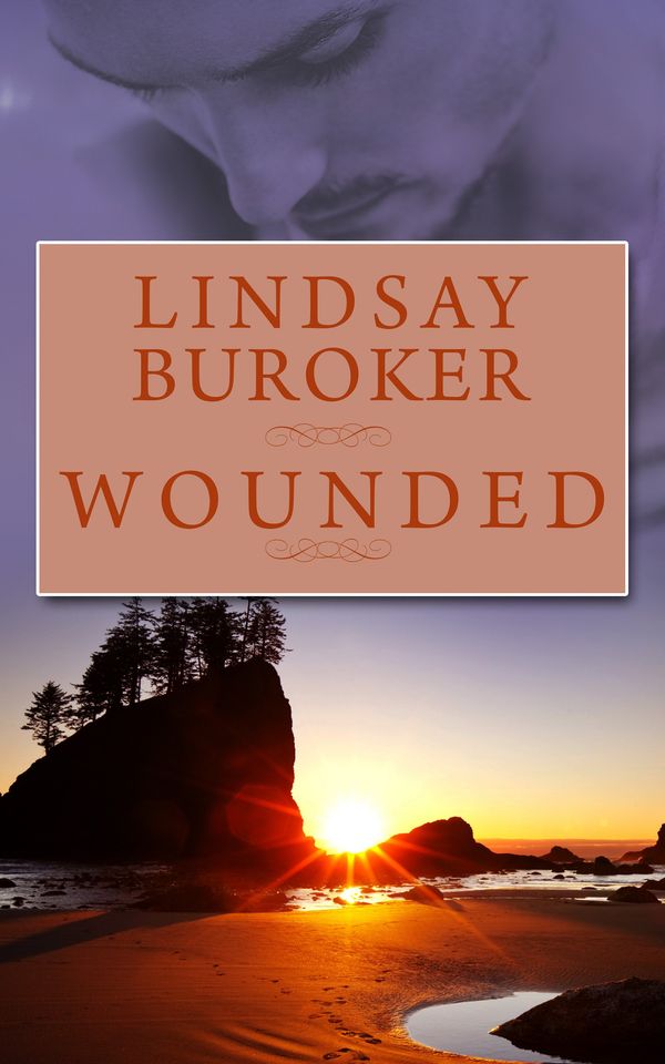 Wounded Book Cover