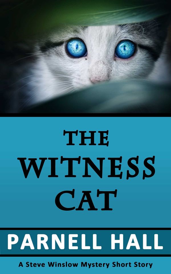 The Witness Cat Book Cover