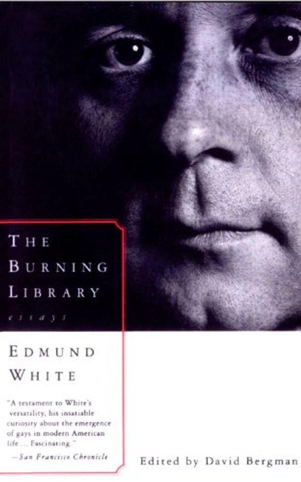 The Burning Library: Essays Book Cover