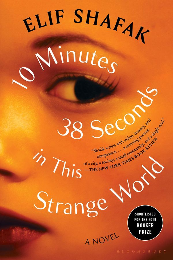 10 Minutes 38 Seconds in This Strange World Book Cover