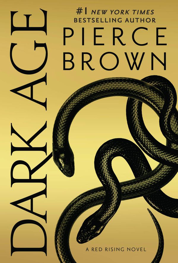 Dark Age Book Cover