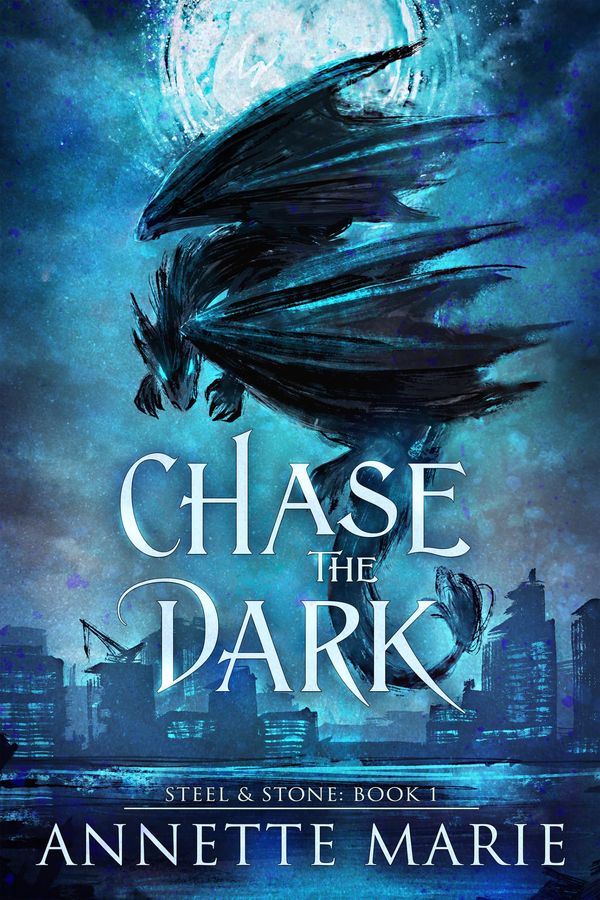 Chase the Dark Book Cover