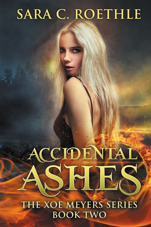 Accidental Ashes Book Cover