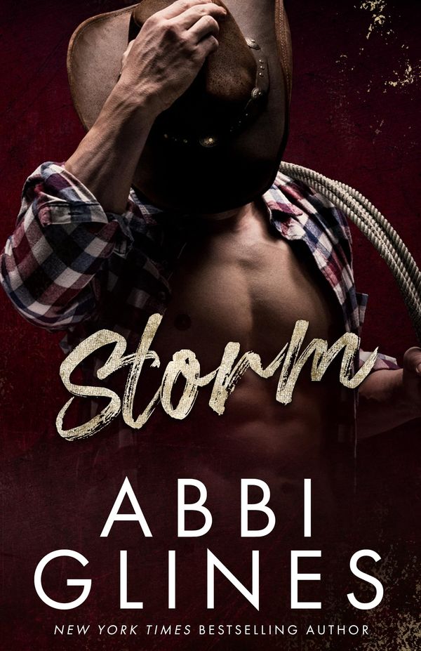Storm Book Cover