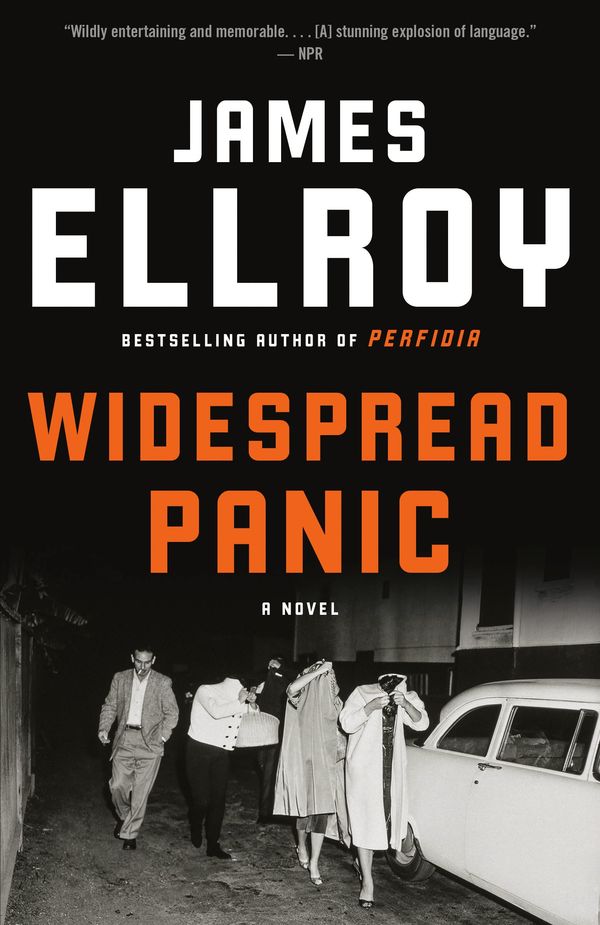 Widespread Panic Book Cover