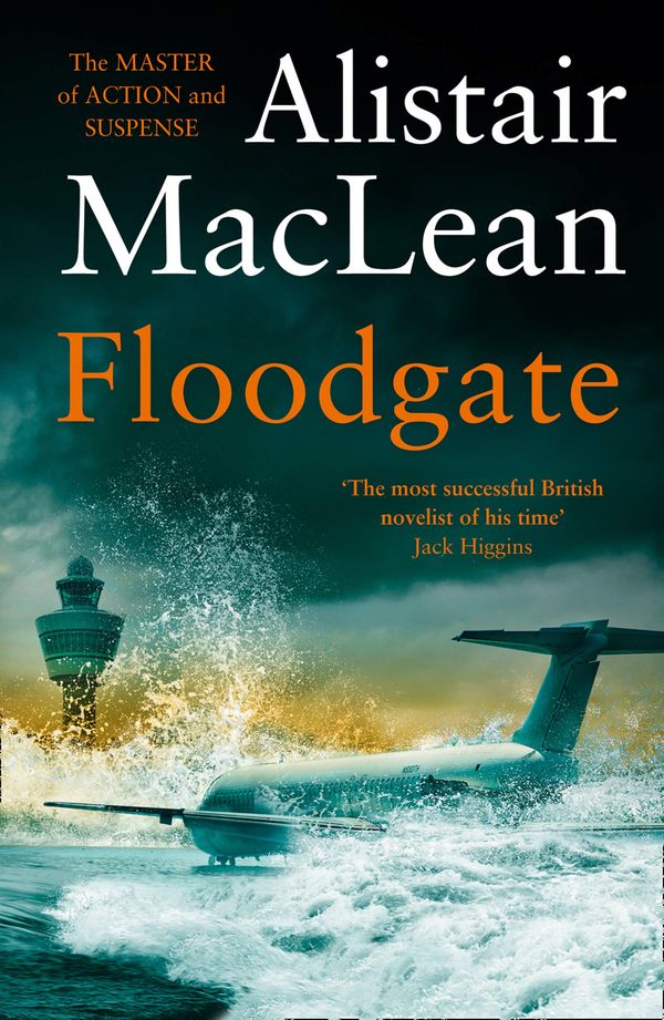 Floodgate Book Cover