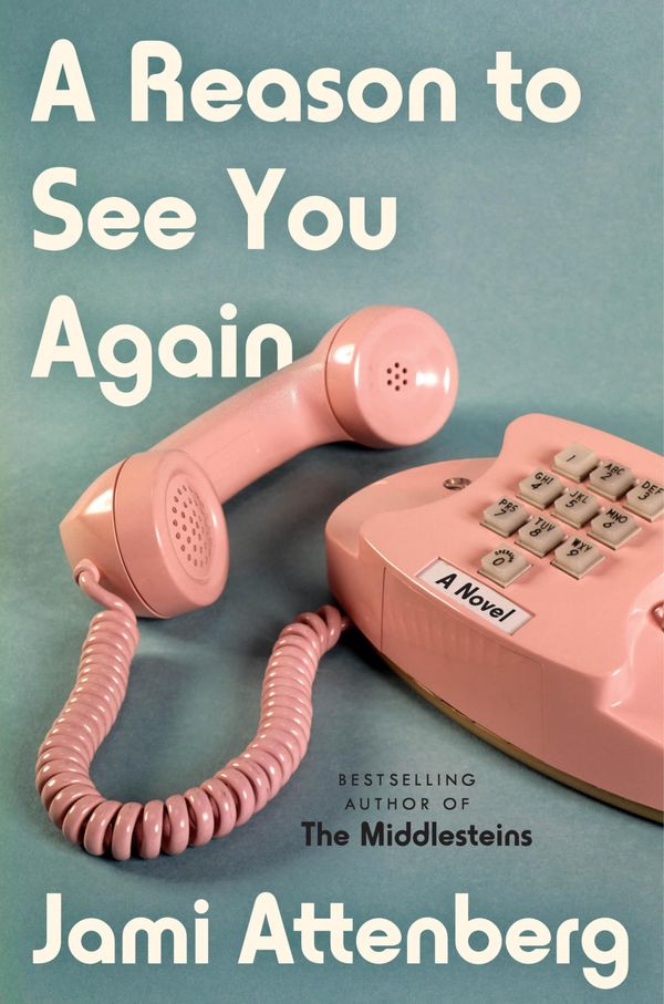 A Reason to See You Again Book Cover