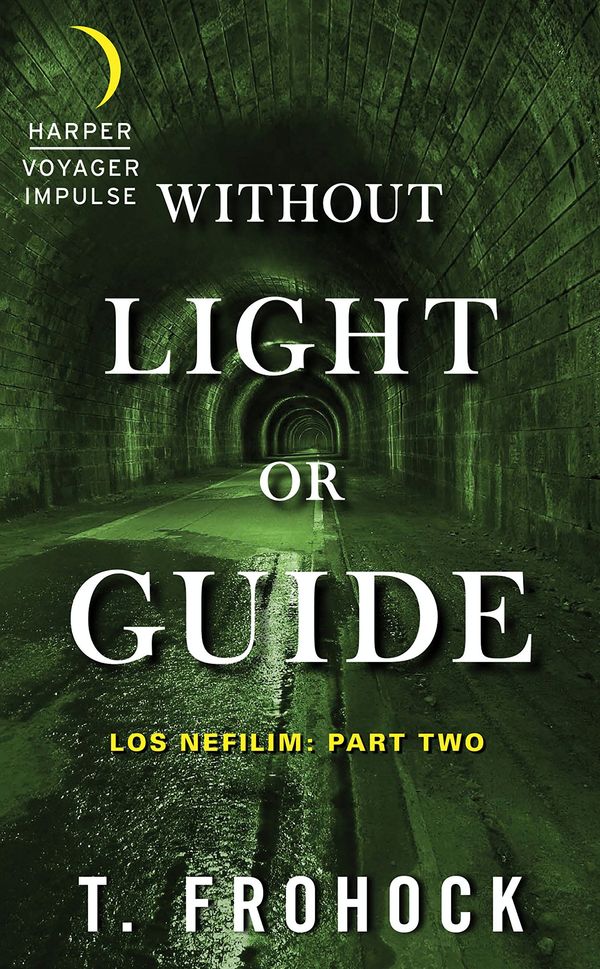Without Light or Guide Book Cover