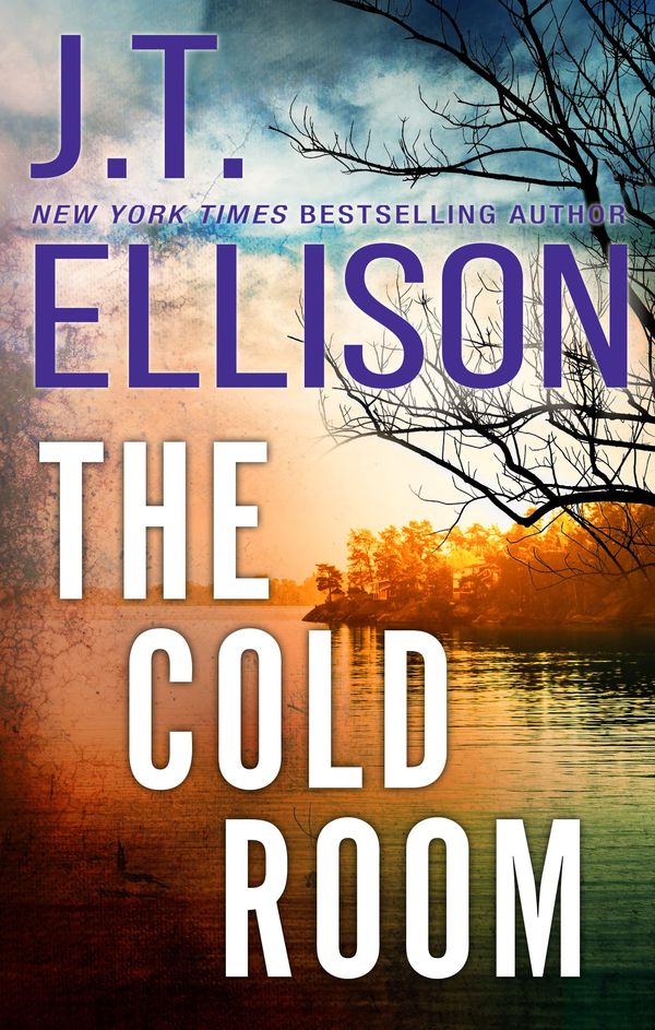The Cold Room Book Cover