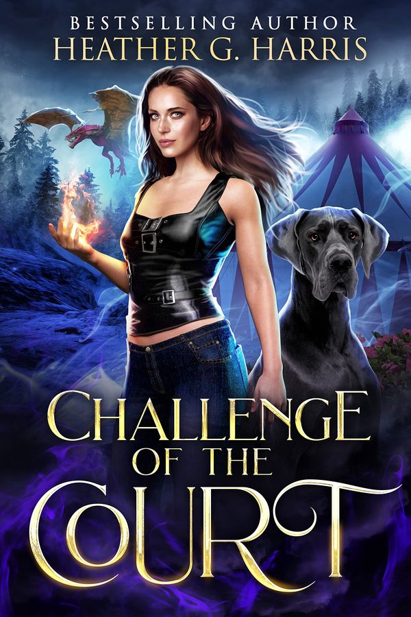 Challenge of the Court Book Cover