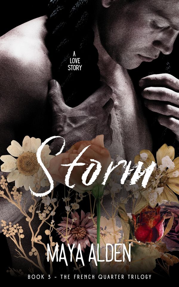 Storm Book Cover