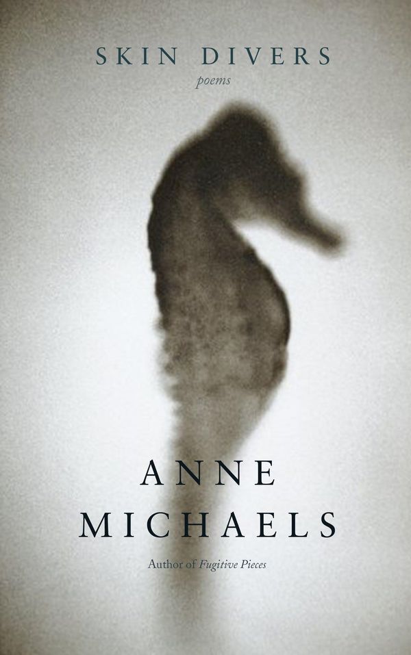 Skin Divers Book Cover