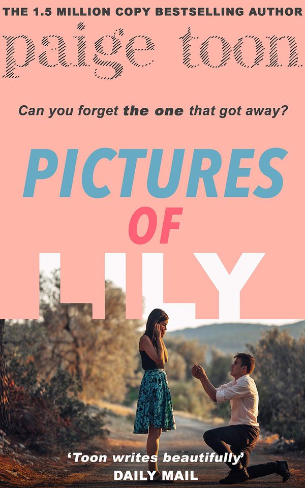 Pictures of Lily Book Cover