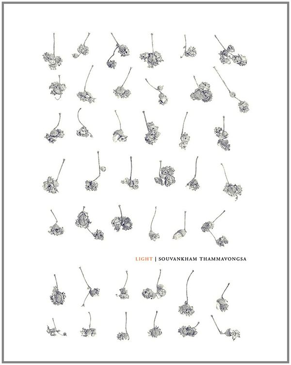 Light Book Cover