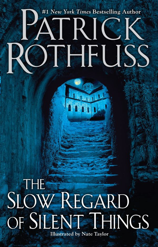 The Slow Regard of Silent Things cover