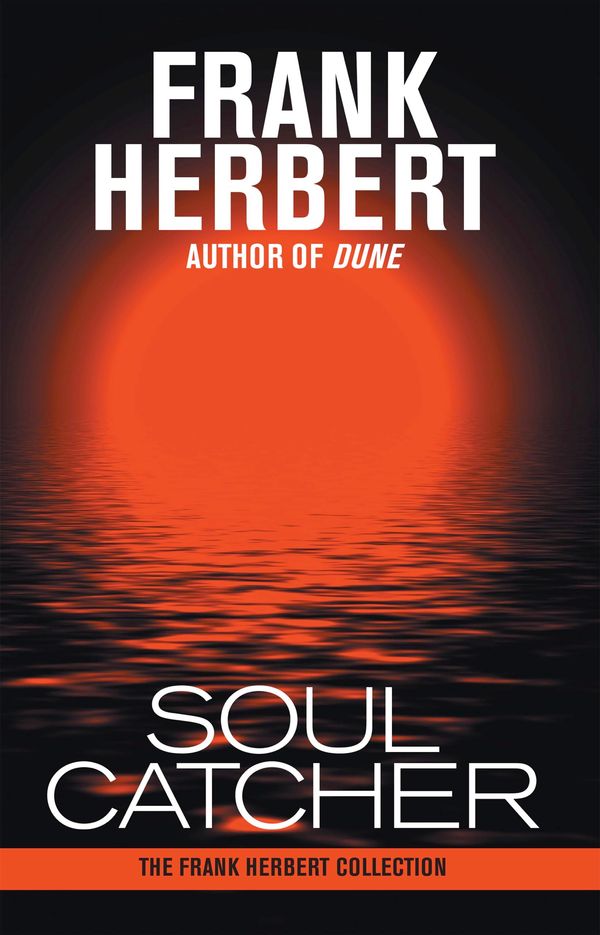 Soul Catcher Book Cover