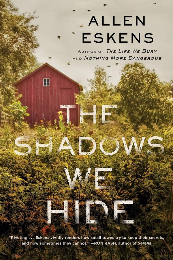 The Shadows We Hide Book Cover