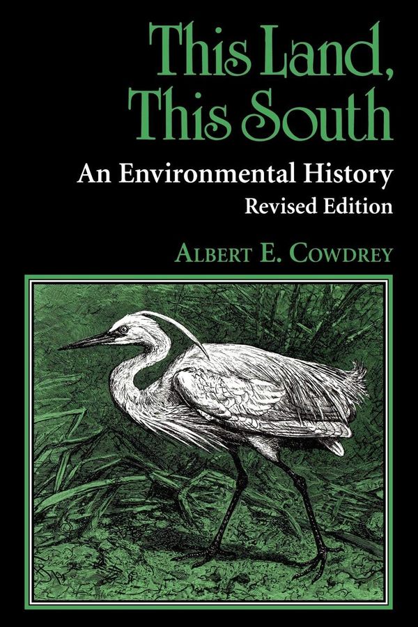 This Land, This South Book Cover