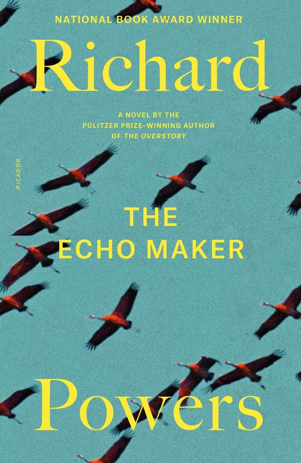 The Echo Maker Book Cover
