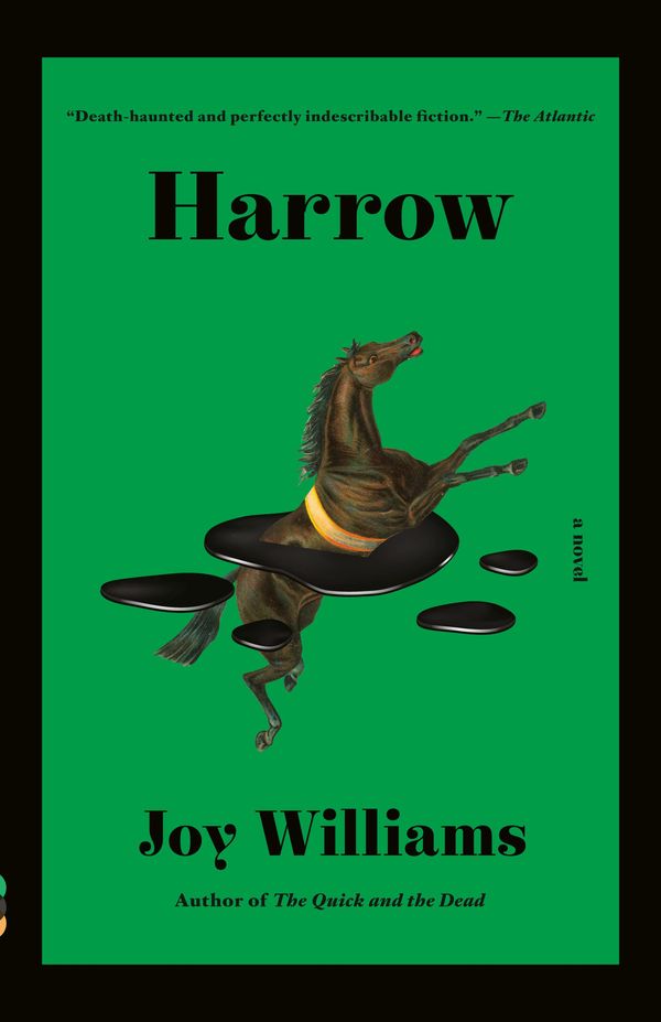 Harrow Book Cover