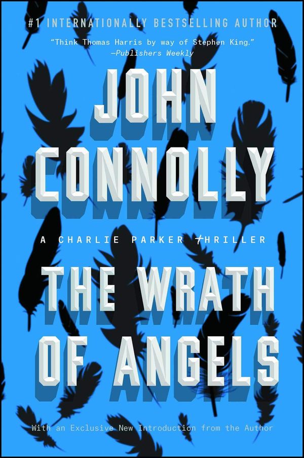 The Wrath of Angels Book Cover