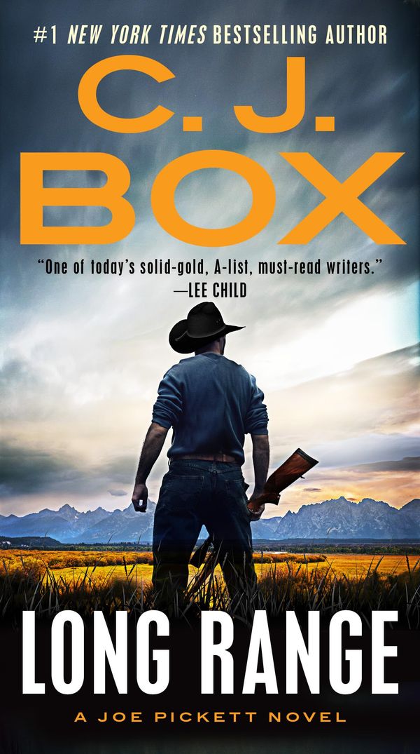 Long Range Book Cover