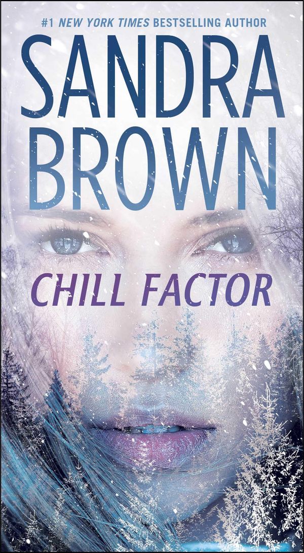 Chill Factor Book Cover