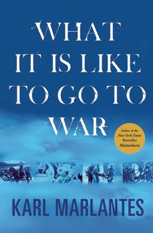 What It Is Like to Go to War Book Cover