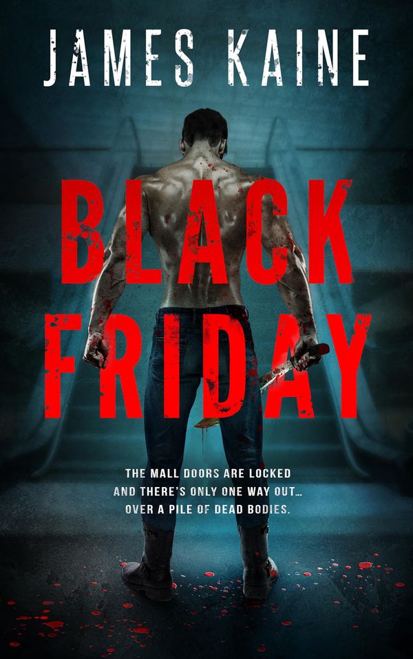 Black Friday Book Cover