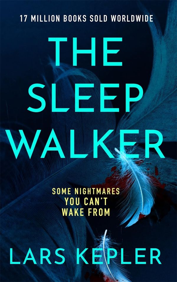 The Sleepwalker Book Cover