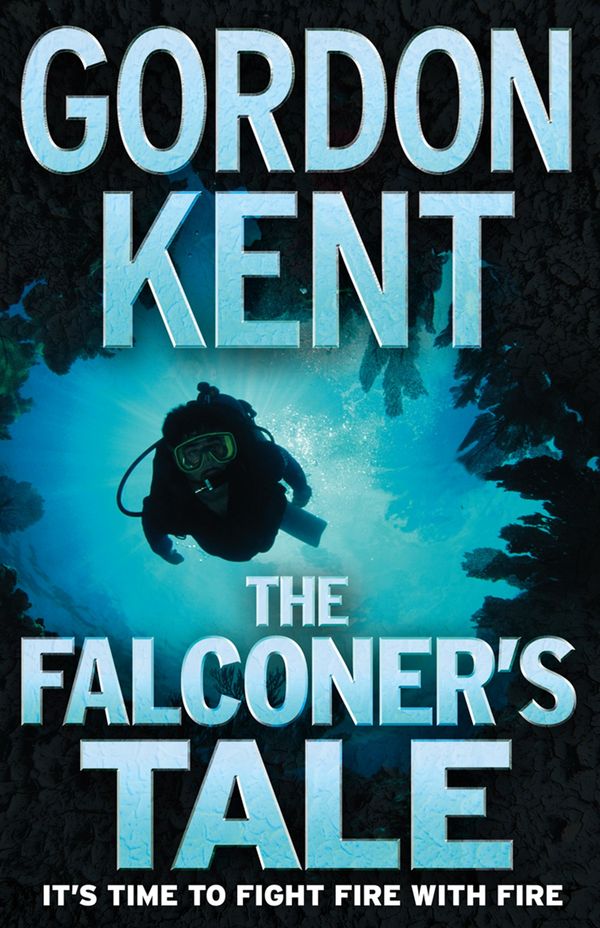 The Falconer’s Tale Book Cover
