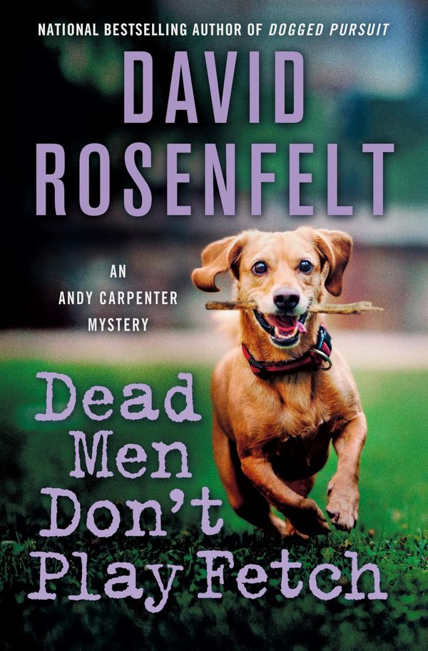 Dead Men Don't Play Fetch Book Cover