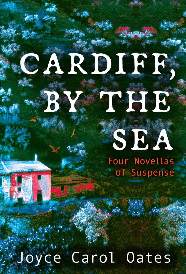 Cardiff, by the Sea Book Cover