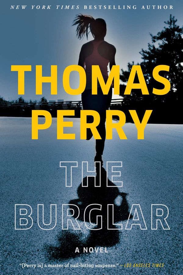 The Burglar Book Cover